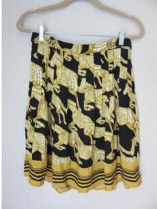 Dresses & Skirts - Black & Gold Pleated Horse Pattern 6 Lined Side Zip Skirt